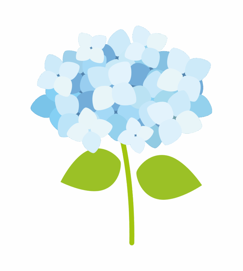 青いアジサイのイラスト