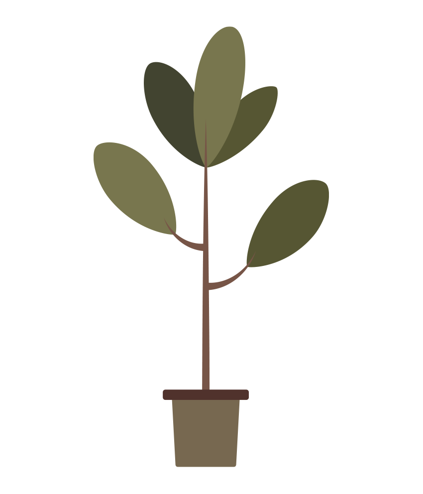 植物 イラスト - ゴムの木・観葉植物・おしゃれ