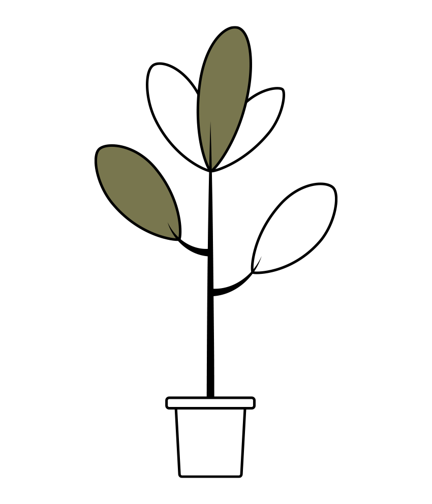 植物 イラスト - ゴムの木・観葉植物・おしゃれ