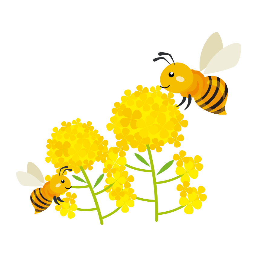 菜の花とミツバチのイラスト