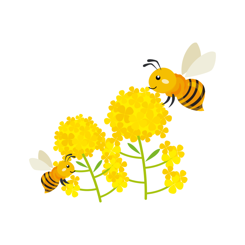 菜の花とミツバチのイラスト