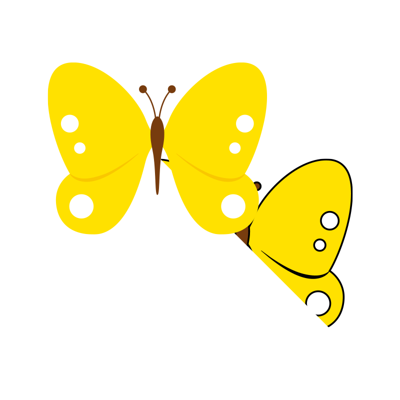 キチョウのイラスト